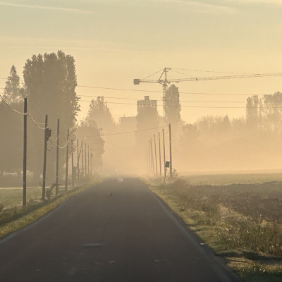 Pic